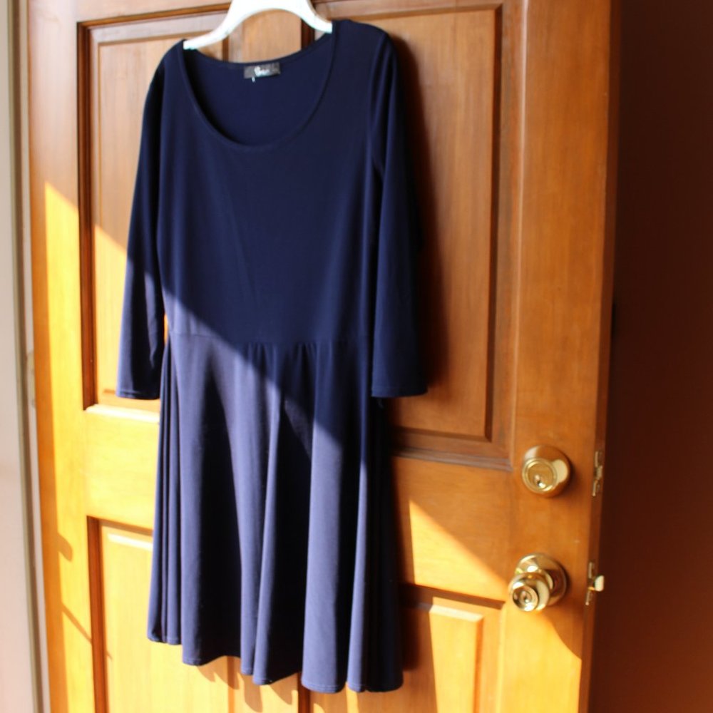 *FREE* Navy Skater Dress